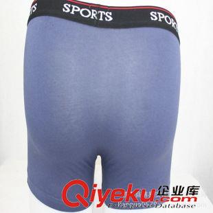 男女全棉其它內褲 熱銷zp 男式平角內褲 性感印花四角褲批發 雙面膠印內褲原始圖片3