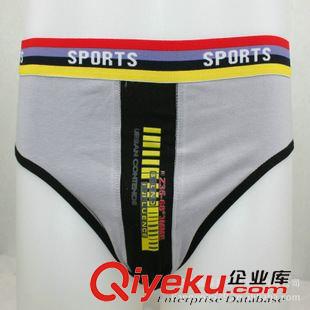 男女全棉其它內(nèi)褲 彈力棉男士三角內(nèi)褲 中腰內(nèi)褲 全棉內(nèi)褲批發(fā) 拼色設(shè)計(jì) 超強(qiáng)彈性