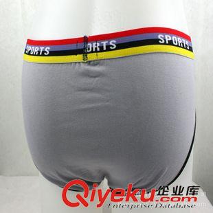男女全棉其它內(nèi)褲 彈力棉男士三角內(nèi)褲 中腰內(nèi)褲 全棉內(nèi)褲批發(fā) 拼色設(shè)計(jì) 超強(qiáng)彈性原始圖片3