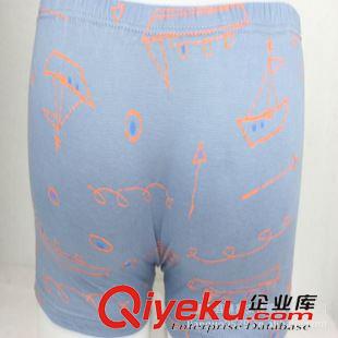 男女全棉其它內(nèi)褲 批發(fā)供應(yīng) 男式全棉中腰、保健、提臀平角內(nèi)褲 量大價(jià)優(yōu)原始圖片2