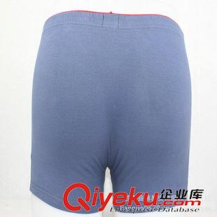 男女全棉其它內褲 供應 時尚印花男式平角內褲 經典簡約舒適四角褲批發原始圖片2