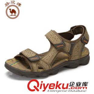 日常體閑 Camel 駱駝男鞋 英倫休閑男鞋 潮流單鞋zp頭層皮耐磨A512092040