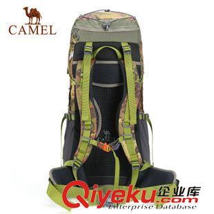 戶外包 CAMEL駱駝戶外雙肩背包  戶外騎行徒步休閑雙肩包 A5W3E3119原始圖片3