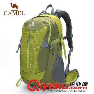 戶外包 CAMEL駱駝戶外雙肩背包 徒步旅游登山出游雙肩背包 5T30C3102原始圖片2