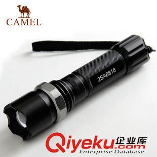 戶外裝備 CAMEL駱駝戶外登山杖 徒步T型4節(jié)伸縮超輕登山拐杖 2SA7D42