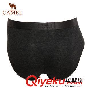 內(nèi)褲 駱駝戶(hù)外 男內(nèi)褲 舒適透氣三角褲 kj運(yùn)動(dòng)內(nèi)褲 3S51097原始圖片2
