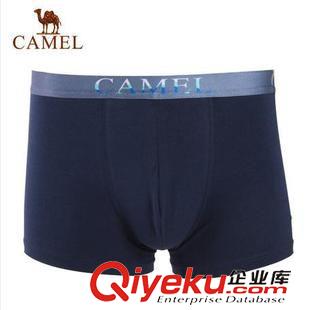 男式棉衣 駱駝男裝 可脫卸帽棉衣 商務(wù)休閑中長(zhǎng)款拉鏈棉服 男 D4Z108249