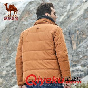 男式棉衣 駱駝男裝 外套男士短款棉衣 商務(wù)休閑棉服 直筒外套 D4Z110241原始圖片2