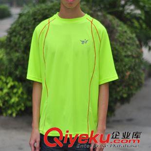 短袖T恤 康美品牌夏秋季粉紅色女士T恤大量促銷歡迎訂購