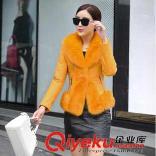 第七期 1752冬裝狐貍毛領(lǐng)羽絨棉服女短款 海寧綿羊皮皮衣修身外套原始圖片2