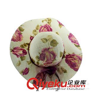 大沿帽 新款女士戶外防紫外線大沿帽 防曬遮陽(yáng)草帽 PC料大沿棉紗夏天帽子
