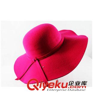 大沿帽 夏天新款韓版女士防紫外線太陽帽沙灘 大沿遮陽帽定型帽定制廠家原始圖片2