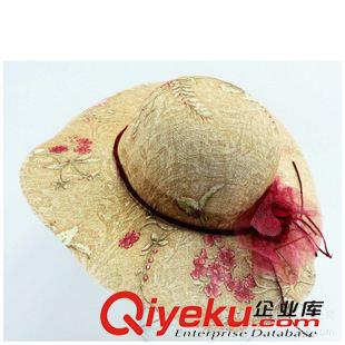 女士大沿帽草帽 新款韓版防曬網(wǎng)紗帽 女士防紫外線沙灘帽大沿帽 蝴蝶結(jié)大沿草帽原始圖片3