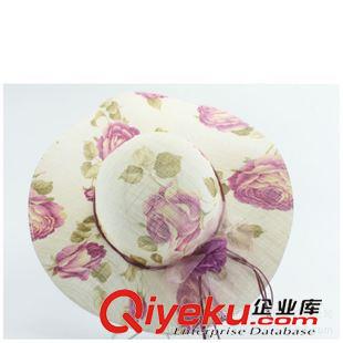 女士大沿帽草帽 新款韓版防曬網(wǎng)紗帽 女士防紫外線沙灘帽大沿帽 蝴蝶結(jié)大沿草帽