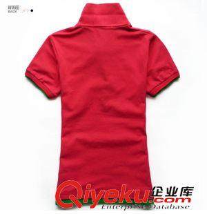 翻領(lǐng)T恤 女士收腰修身商務(wù)翻領(lǐng)t恤衫批發(fā)雙領(lǐng)撞色t恤時(shí)尚體恤定做實(shí)體廠家原始圖片2