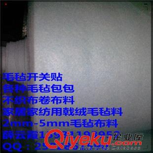 服裝用氈 家居裝飾毛氈 廠家直銷20mm6200g鋼廠分條機用白色毛氈 戟絨毛氈 滌綸毛氈