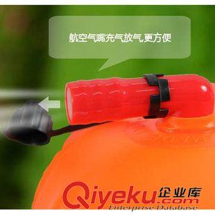 戶外用品 浪姿 雙氣囊游泳跟屁蟲 浮漂游泳包 可裝衣物送防水袋 手機防水袋原始圖片2