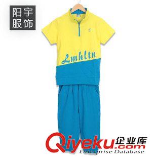 限時(shí)包郵 批發(fā) 中老年女裝夏裝套裝 大碼休閑女士運(yùn)動(dòng)跑步裝短袖T恤七分褲