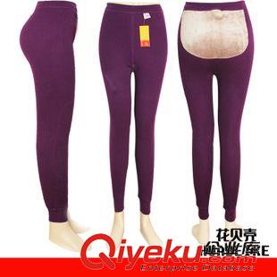 女式熱能褲 廠家直批 2014女士保暖加絨加厚全護(hù)打底褲無縫熱能全棉保暖褲