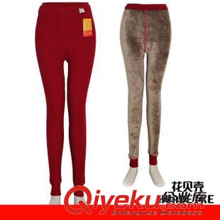 女式熱能褲 廠家直批 2014女士保暖加絨加厚全護(hù)打底褲無縫熱能全棉保暖褲