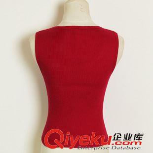 女式保暖內衣 北方秋冬必備保暖內衣 老少皆宜女士套頭加厚無縫塑身保暖背心原始圖片2