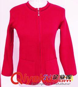 女式保暖內衣 保暖上衣廠家批發 中老年女士套頭塑身加絨加厚長袖保暖內衣