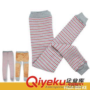 女式純棉背心 2014冬季全棉純色拉鏈款加絨保暖背心 無袖護背中老年女士馬甲