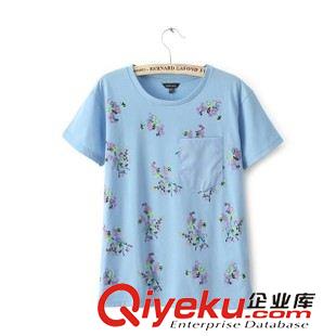 6.3 2015夏裝新款 韓版女裝 印花百搭圓領短袖T恤批發(fā)原始圖片2