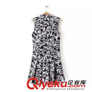 5.29 歐洲站2015夏季新款 歐美女裝 廠家直銷時尚印花立領修身連衣裙原始圖片3