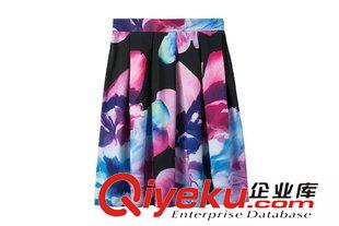 5.26 歐洲站 2015夏新款波西米亞數碼印花上衣+百褶半身裙沙灘女裝套裝原始圖片3