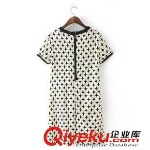 5.18 歐洲站 速賣通亞馬遜ebay2015歐美女裝提花短袖連衣裙 短裙原始圖片3