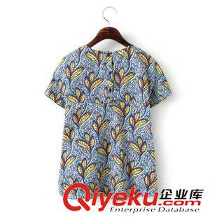 5.11 速賣通 歐美2015女裝夏季新款 印花圓領短袖襯衫 上衣女 批發(fā)原始圖片3