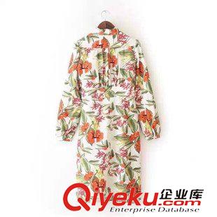 長裙 唯品庫 2015春裝新品女裝 長袖清新田園印花連衣裙 長裙