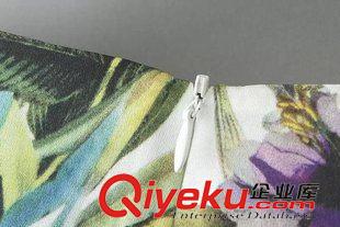 大碼女裝   唯品庫 2015春裝新款 歐美風(fēng)植物花卉印花寬松加大碼短袖連衣裙原始圖片3