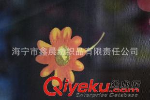 弹力泳装内衣系列 供应印花网眼布 印花针织布 植绒  zyjl来样订购