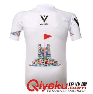 Yisports 品牌服饰 Yisports 紧身衣 户外运动 跑步 训练 莱卡上衣Rashguard