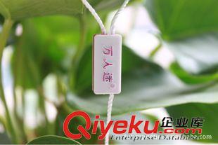 環保袋、購物袋系列 杭州服裝輔料廠專業定做各種毛毯浴巾用的二合一吊粒 滴塑吊粒