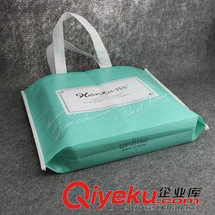 未分類 供應(yīng)各種防水無紡布袋 通用包裝 特價優(yōu)惠 可定制原始圖片2