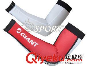 騎行褲套/騎行袖套 夏季捷安特自行車騎行袖套 GIANT戶外防曬透氣袖套 公路騎行裝備原始圖片2