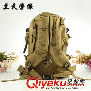 包包 901款帆布背包原始圖片3