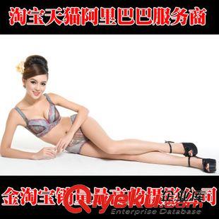 廣告片 淘寶視頻拍攝  廣告攝影公司 產品視頻制作 淘寶攝影產品拍攝公司原始圖片3