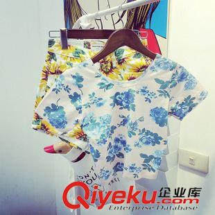 AA風(fēng)格 美國(guó)代購(gòu)American Apparel/AA清新藍(lán)花朵高腰露臍彈力修身短袖T恤原始圖片2