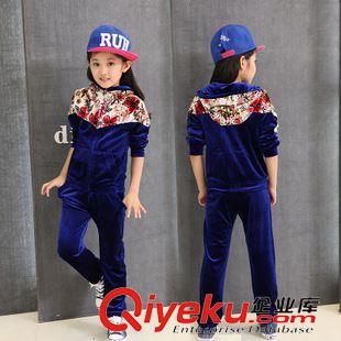 女童時(shí)尚靚麗套裝專區(qū) 童裝女童秋裝2015新款女孩衣服兒童金絲絨衛(wèi)衣大童運(yùn)動(dòng)套裝女春秋原始圖片2