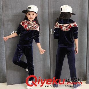 女童時(shí)尚靚麗套裝專區(qū) 童裝女童秋裝2015新款女孩衣服兒童金絲絨衛(wèi)衣大童運(yùn)動(dòng)套裝女春秋原始圖片3