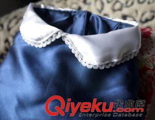 6.99元起特價專區(qū) 工廠直銷，寵物衣服批發(fā)，海軍款，原創(chuàng)作品{dywe}，泰迪狗服裝原始圖片2