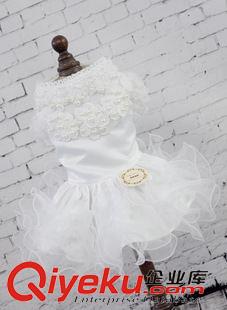 6.99元起特價專區 廠家直銷，寵物用品，寵物衣服，狗裙子，春夏秋冬新款