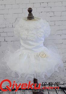 春夏款 芭菲寵家廠家直銷寵物裙子婚紗禮服高端定制狗狗衣服木耳邊原始圖片2