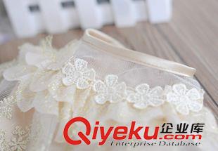 裙子 廠家直銷，寵物用品批發(fā)，寵物裙子芭菲寵家狗狗婚紗，原始圖片2