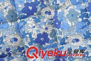 ◆夾克/外套 D71804歐洲站2014秋冬新款女裝 歐美藍(lán)底小花棉衣棉夾克長袖外套原始圖片3