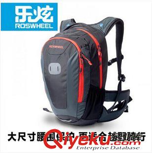 樂炫車包 ROSWHEEL 樂炫 14154 山地車馱包駝包自行車后貨架包中短途 30L